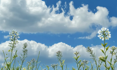 webpack 学习记录